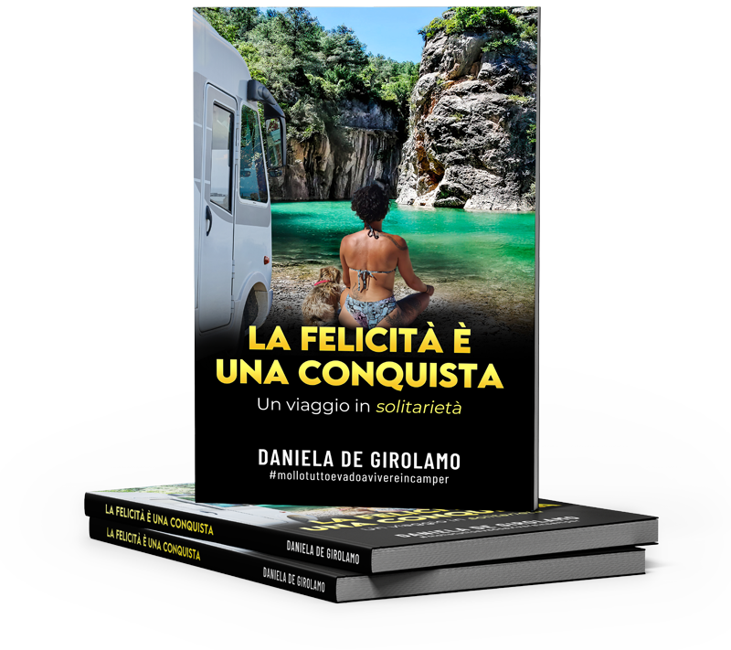 La felicità è una conquista è disponibile in versione ebook e cartacea dal 21 giugno 2023