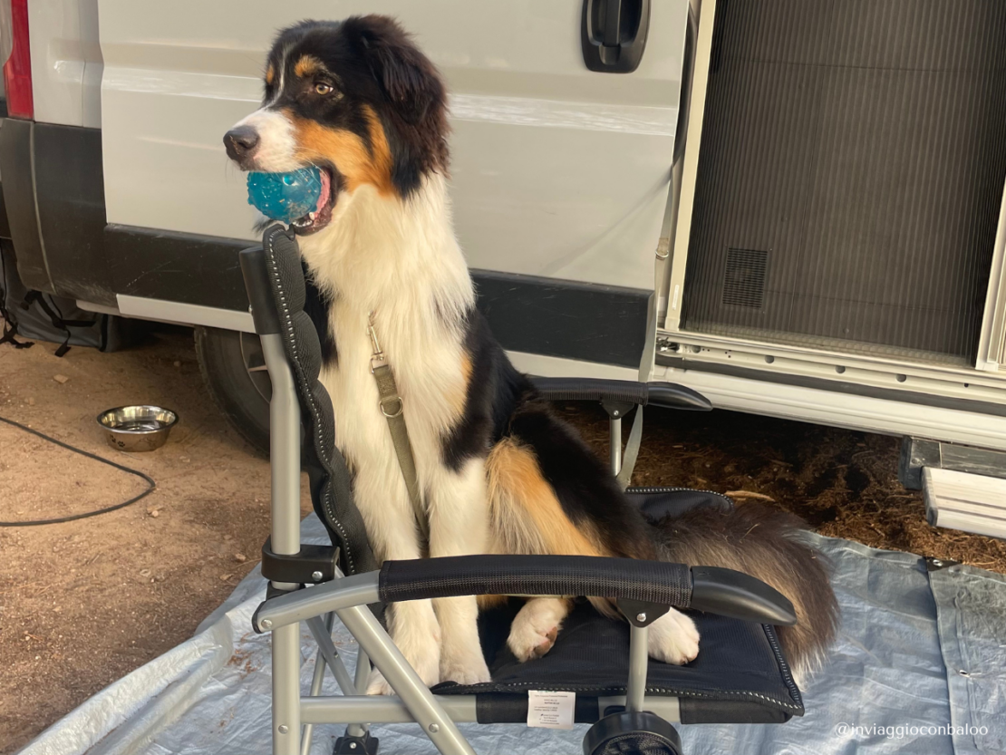 Davide e Martina: la storia di due giovani che hanno scelto la Vanlife come stile di vita | 3 | Mollo tutto e vado a vivere in camper Vanlife con cane